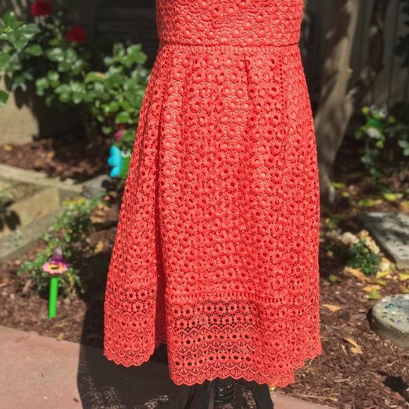 J. Crew Daisy Lace Dress - Picture 5 of 5